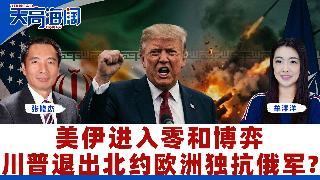 美伊进入零和博弈川普退出北约欧洲独抗俄军？《天高海阔》2026.04.03