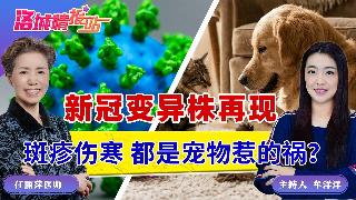 新冠变异株再现斑疹伤寒 都是宠物惹的祸？《洛城情报站》2026.04.03